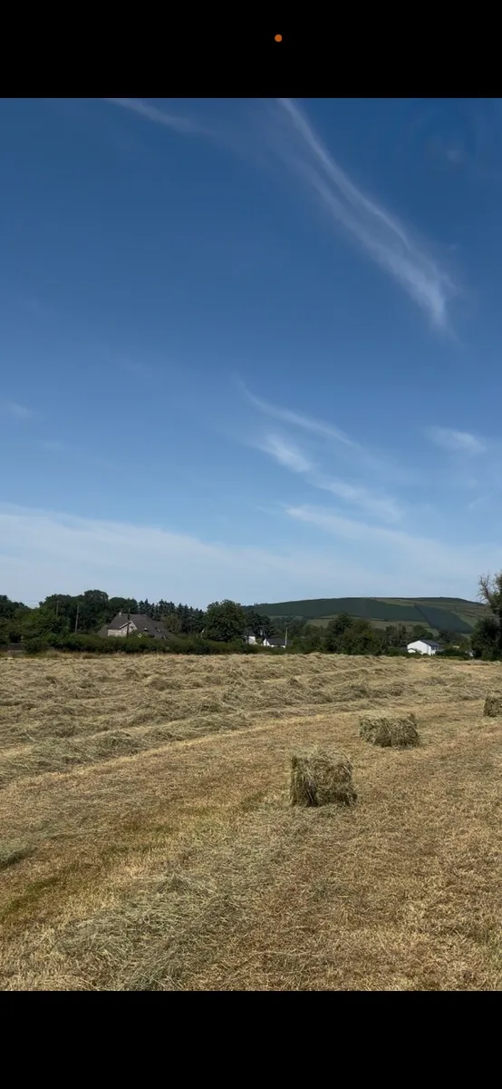 Small square Hay bales - Image 3