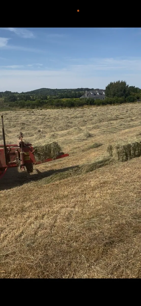 Small square Hay bales - Image 1