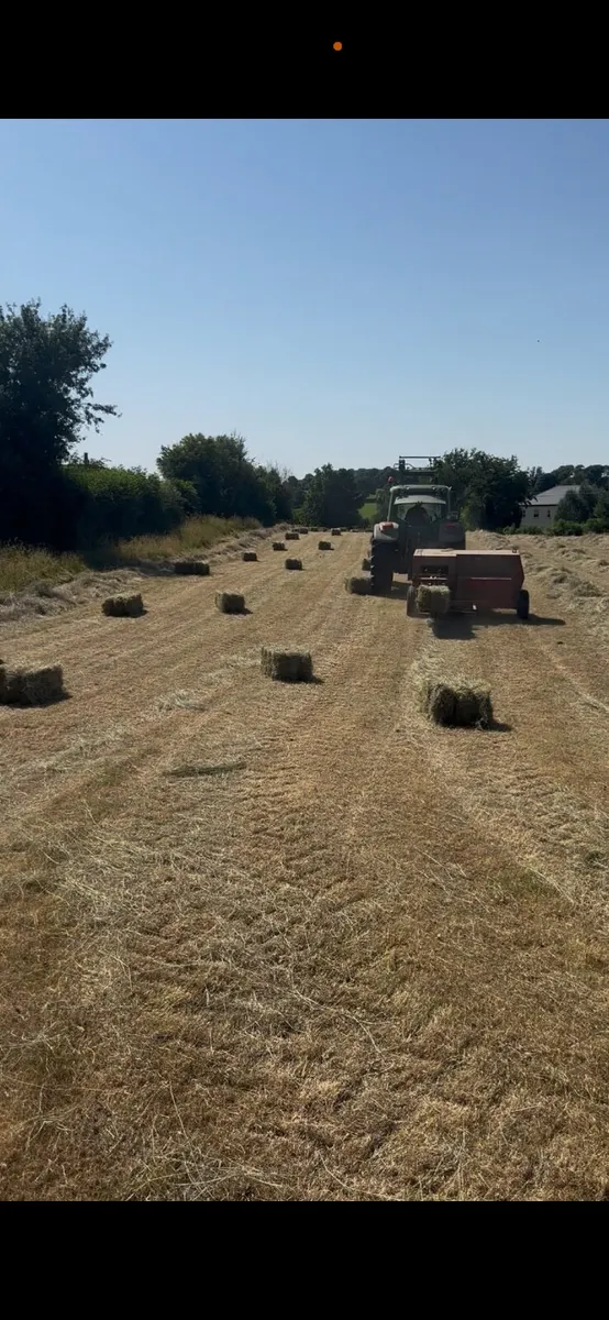 Small square Hay bales - Image 4
