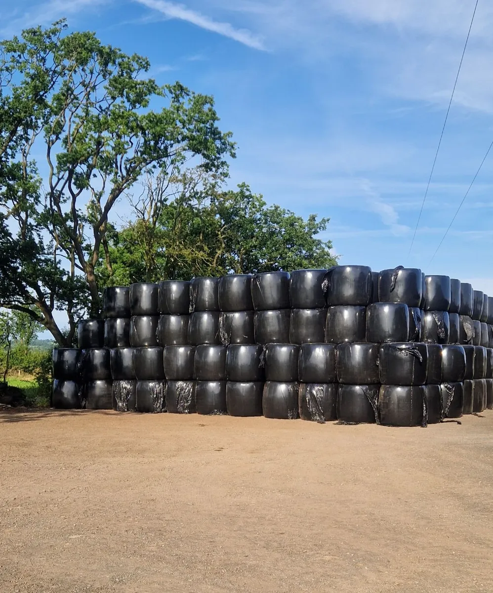 Haylage Suitable For Horses