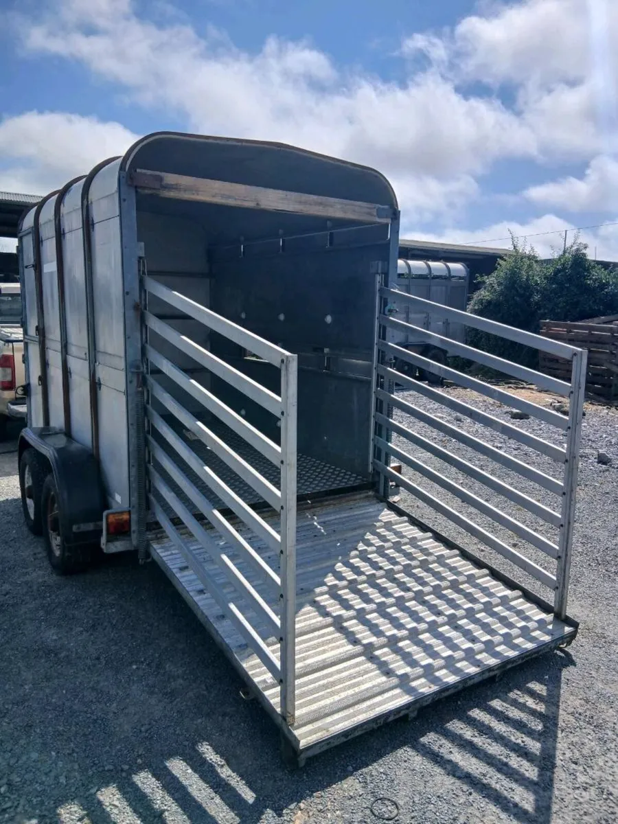 Iforwilams 2cow cattle trailerCALL 0868782672 - Image 3