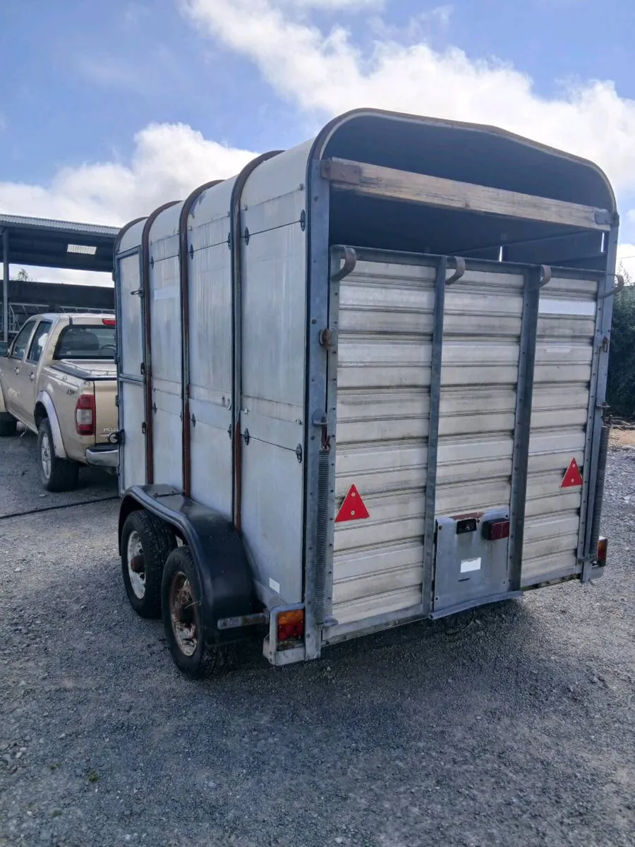 Iforwilams 2cow cattle trailerCALL 0868782672 - Image 4