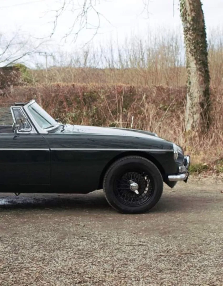 Black wire wheels