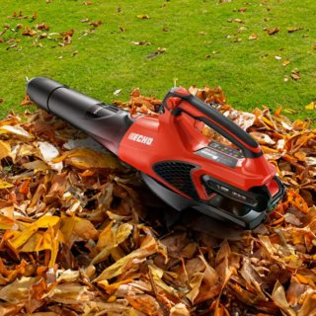 Echo DPB-2500 Battery Blower - Image 3