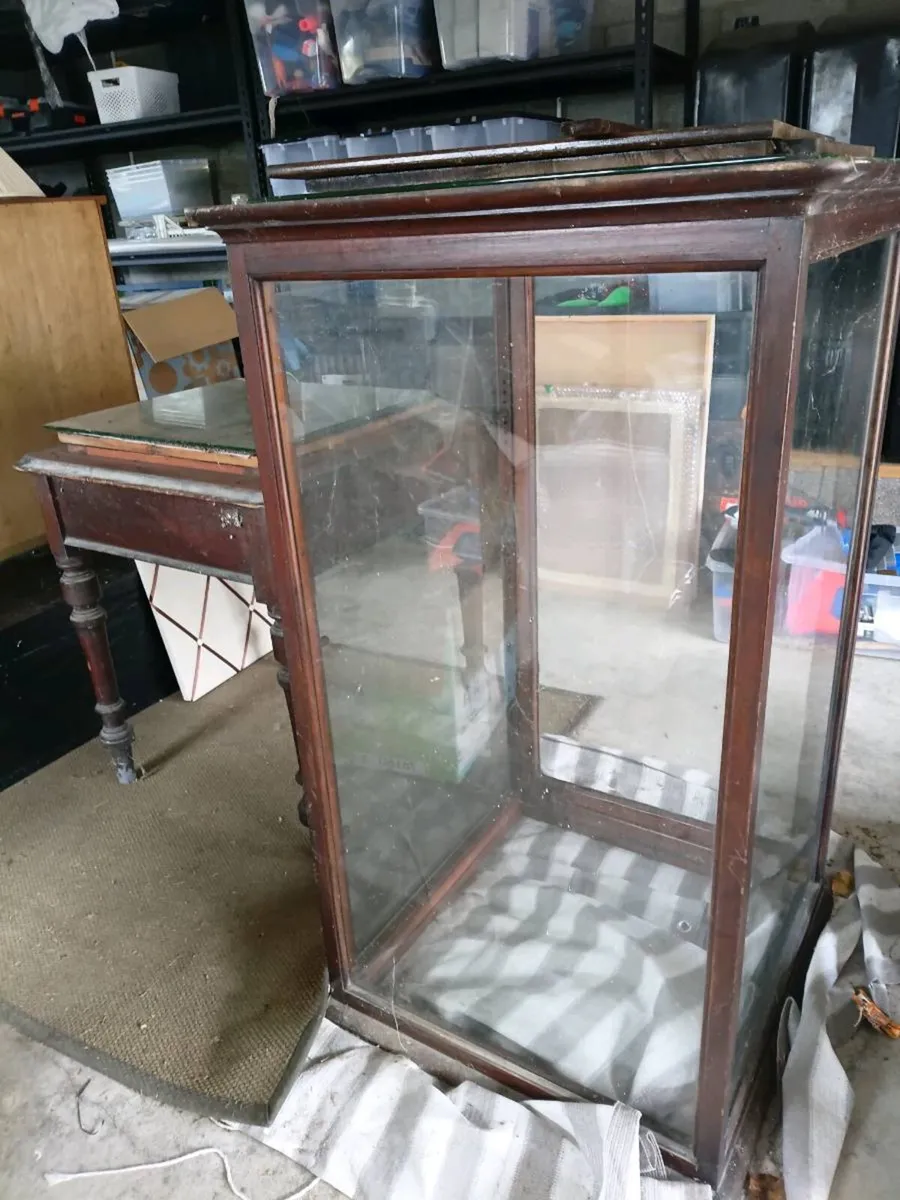 Antique Glass Mahogany Display Cabinet - Image 1