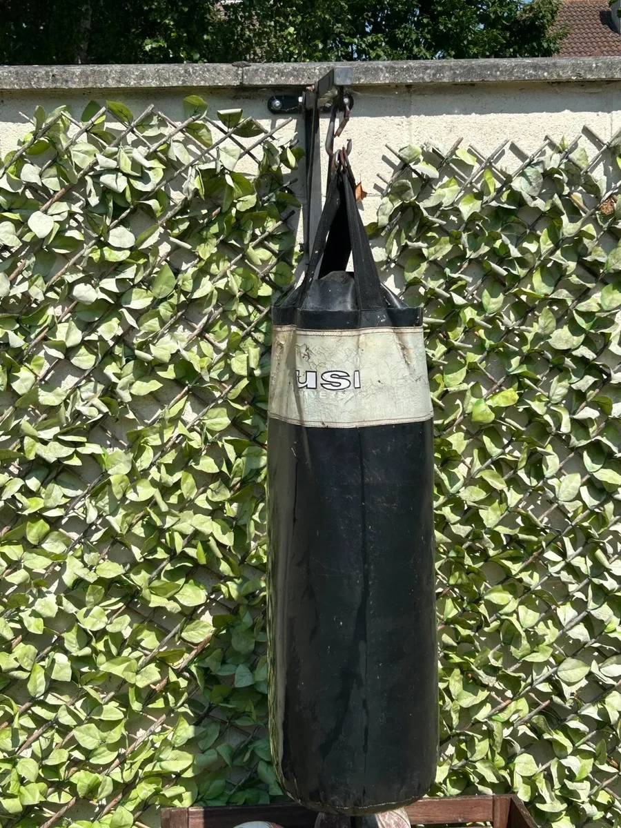 Basketball Hoop and Boxing punch bag - Image 2