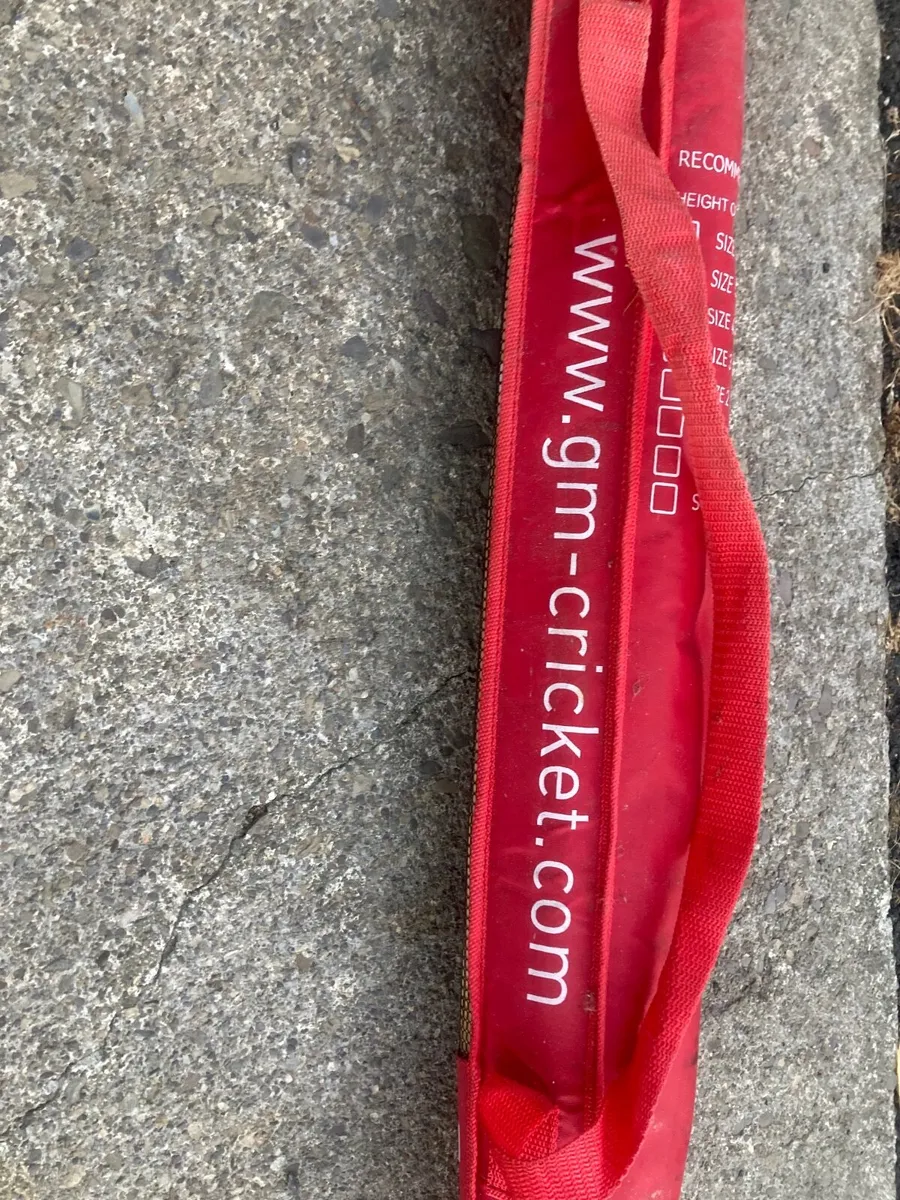Cricket - Image 2
