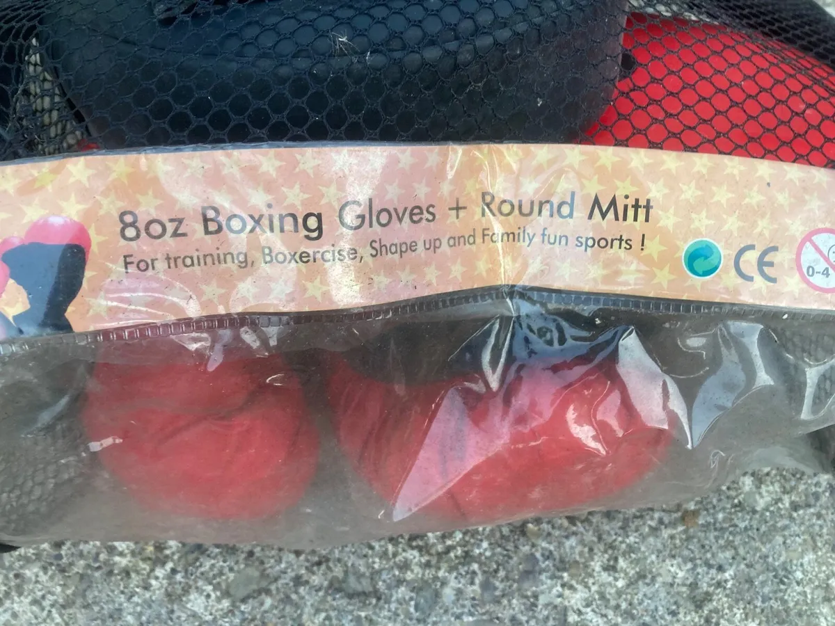 Boxer training kit - Image 2