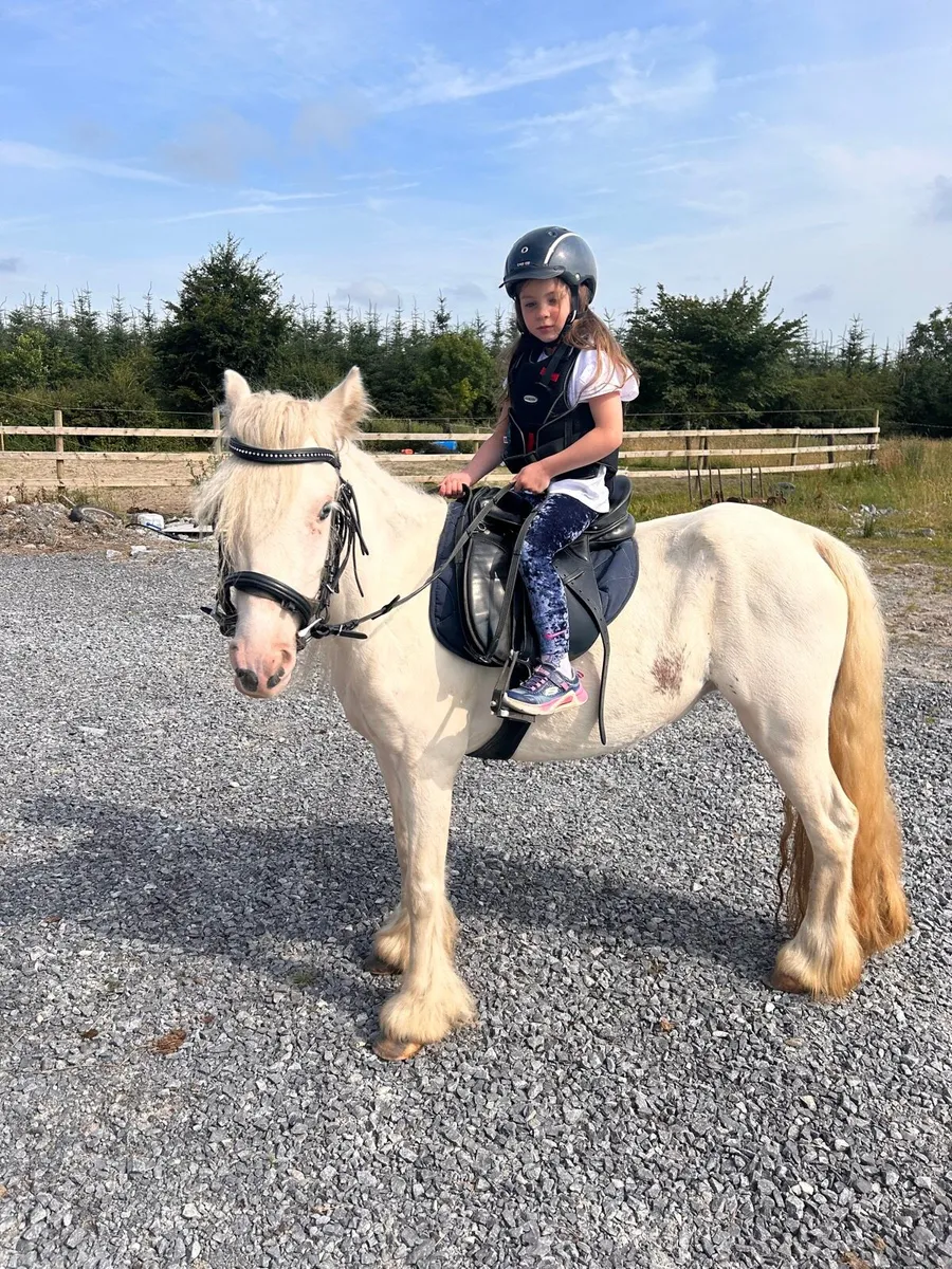 🌸 Allrounder pony for sale 🌸 - Image 1