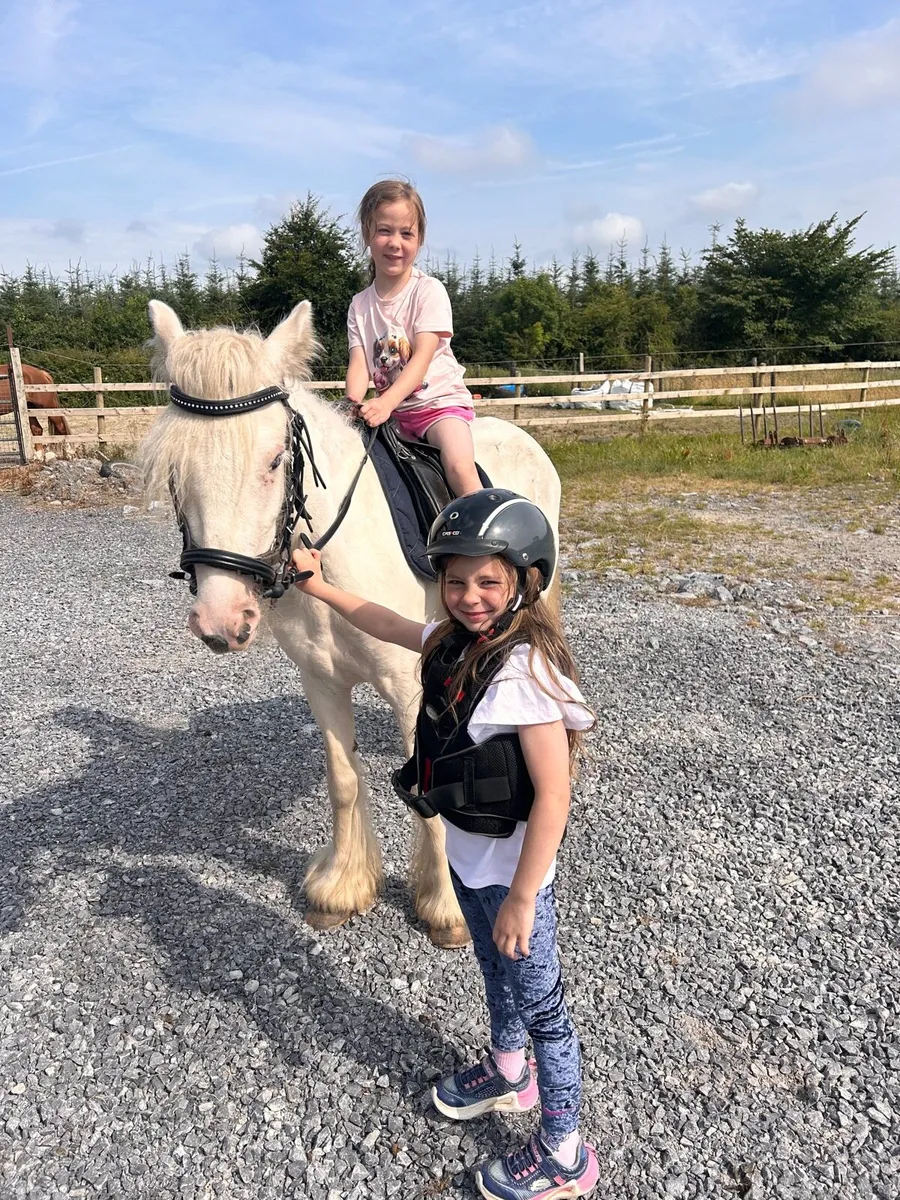 🌸 Allrounder pony for sale 🌸 - Image 3