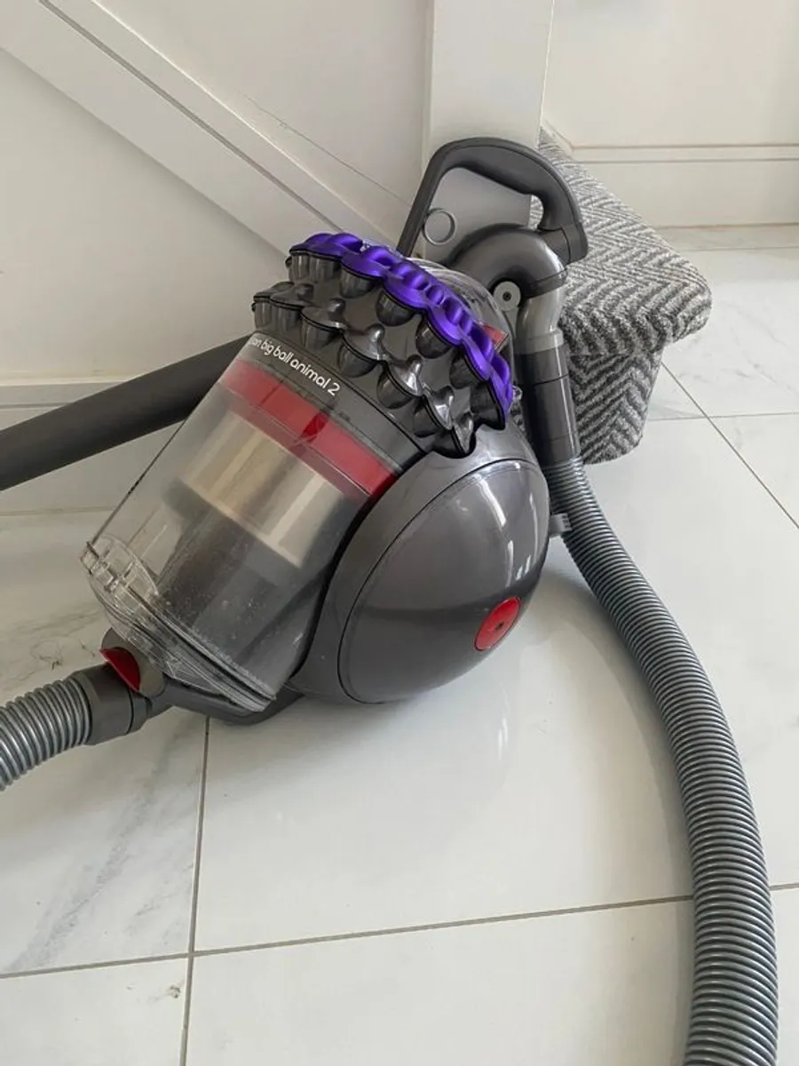 Dyson Big Ball Animal 2 Vacuum Cleaner - Image 4