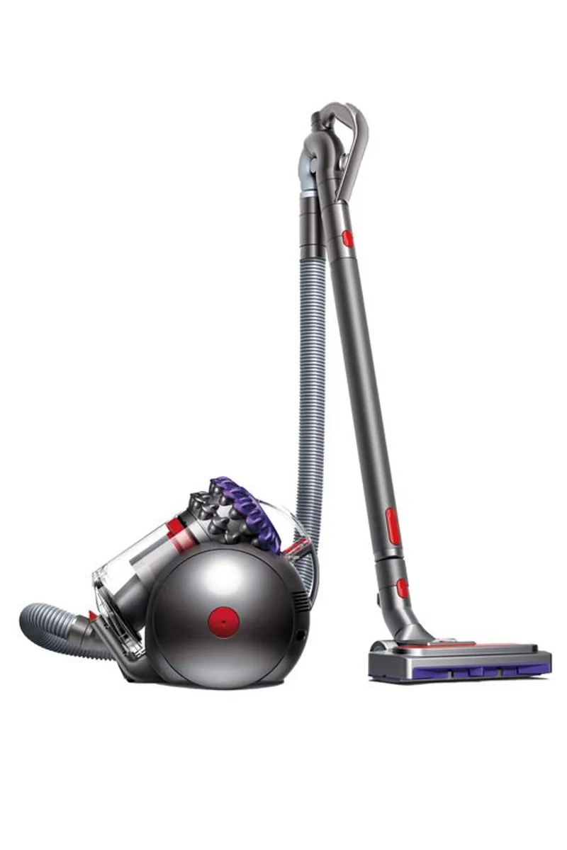 Dyson Big Ball Animal 2 Vacuum Cleaner - Image 1