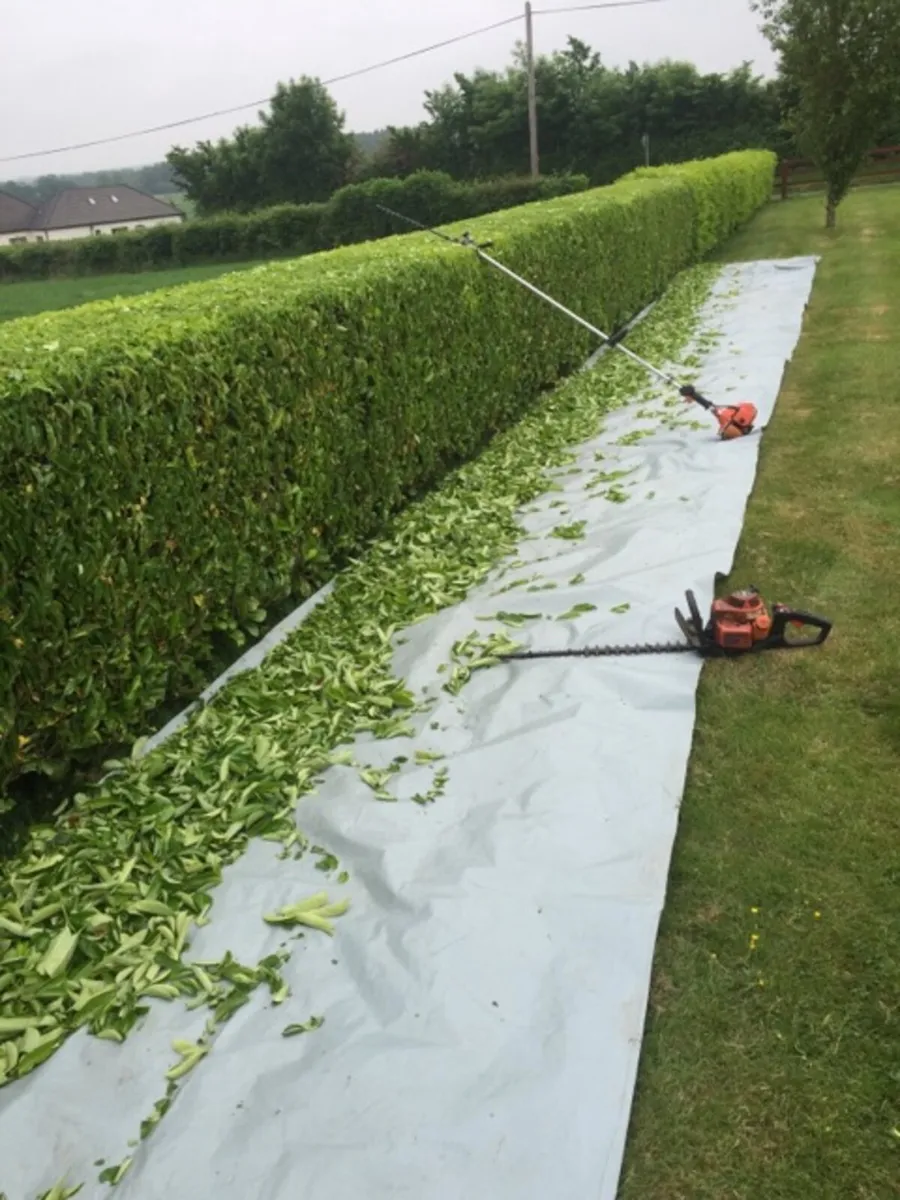 JOC Gardening Services - Image 1