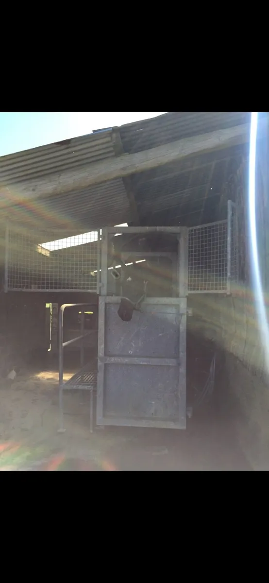 Equine hydrotherapy spa - Image 1