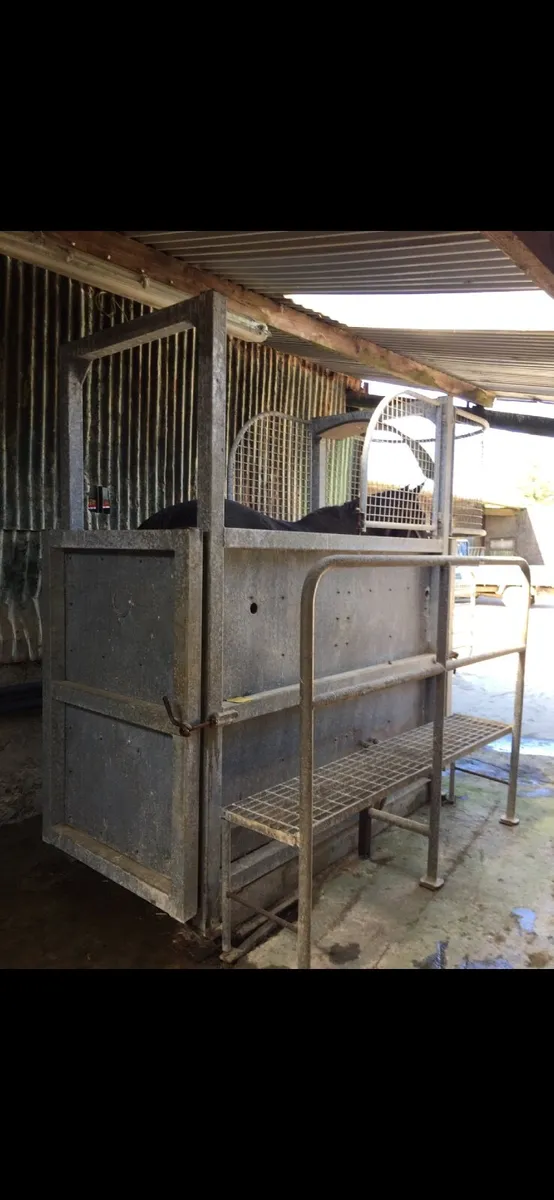 Equine hydrotherapy spa - Image 2