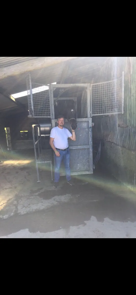 Equine hydrotherapy spa - Image 3