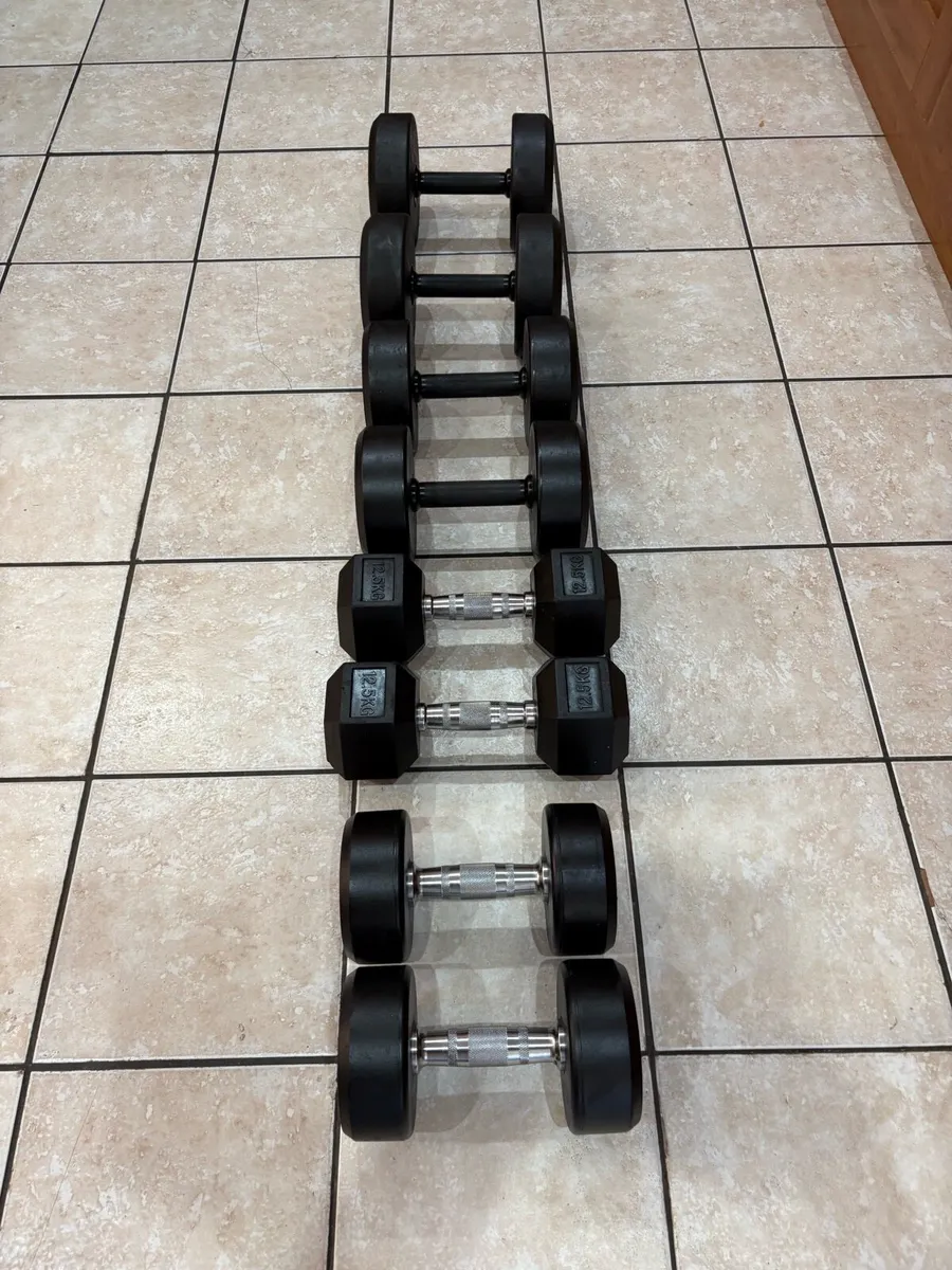 QUALITY HIGH END DUMBBELL COLLECTION!!! - Image 2