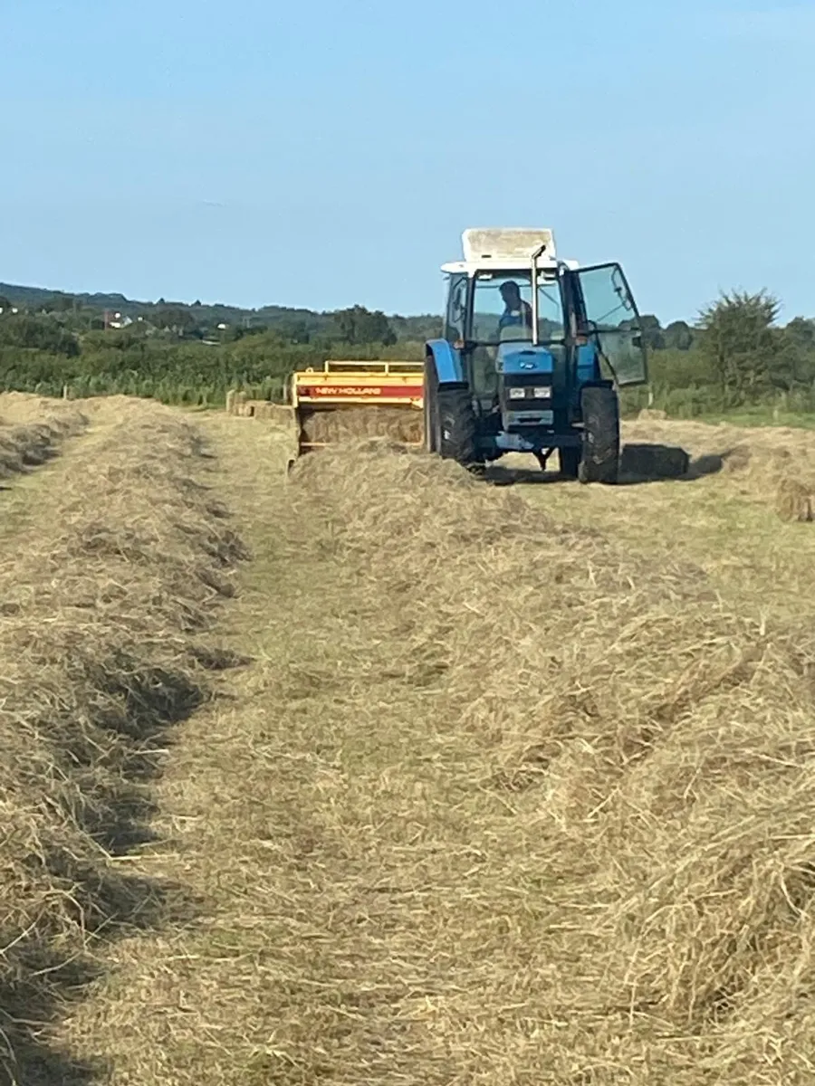 Quality square bales of hay - Image 1