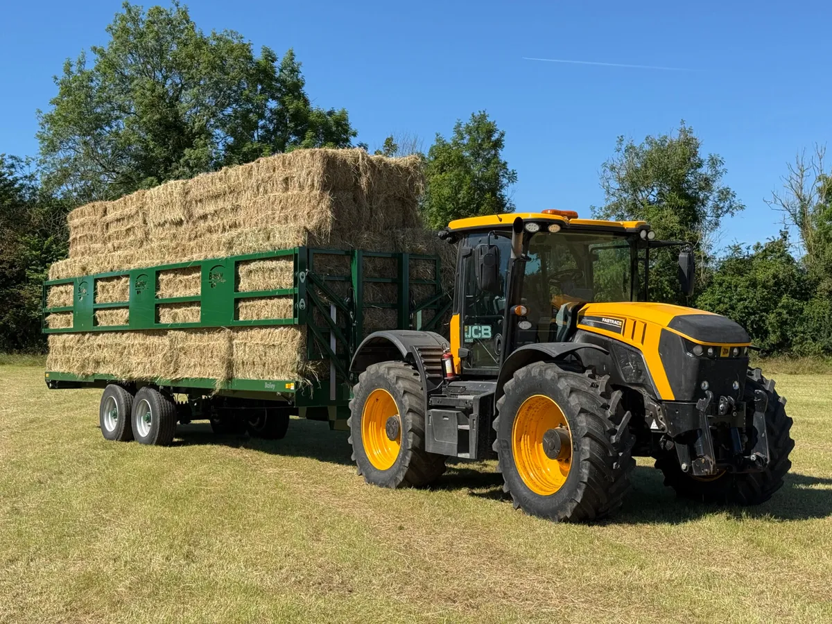 **Excellent Quality Sheep Hay!!** Fine & Soft!!! - Image 4