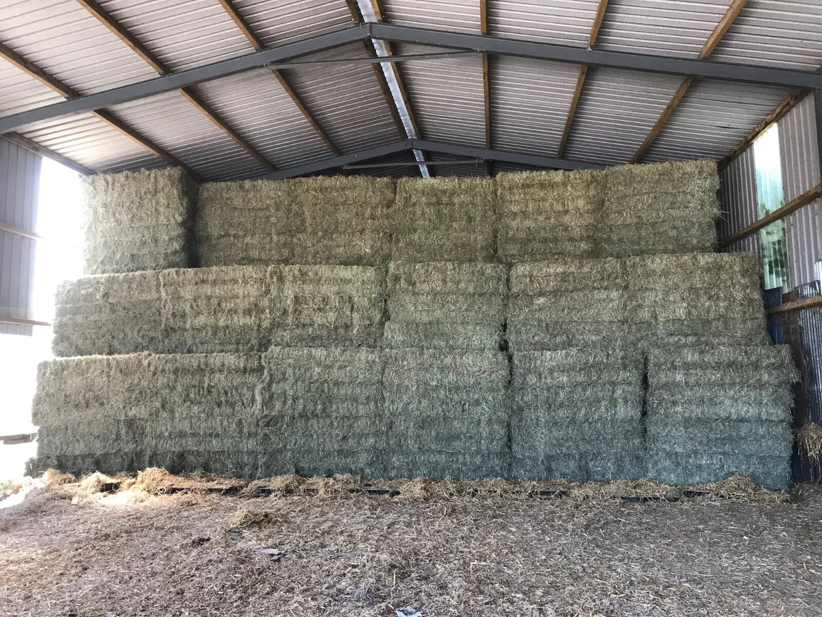 **Excellent Quality Sheep Hay!!** Fine & Soft!!! - Image 3