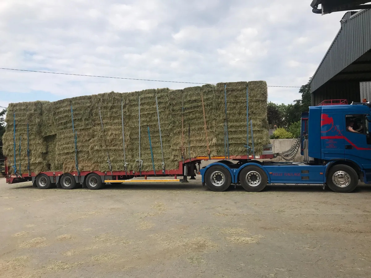 **Excellent Quality Sheep Hay!!** Fine & Soft!!! - Image 2