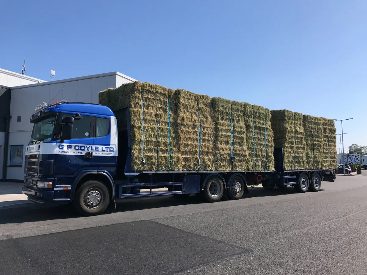 **Excellent Quality Sheep Hay!!** Fine & Soft!!! - Image 1