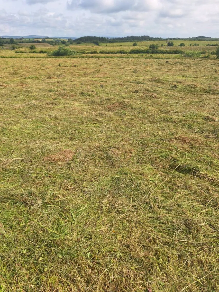 Hay Feeding/ Bedding - Image 1