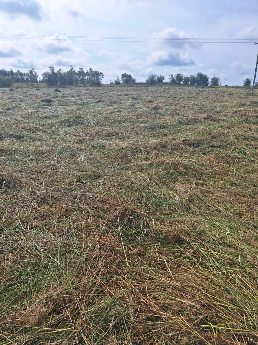 Hay Feeding/ Bedding - Image 2