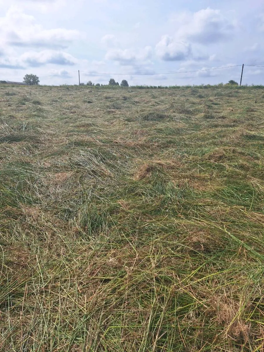 Hay Feeding/ Bedding - Image 3