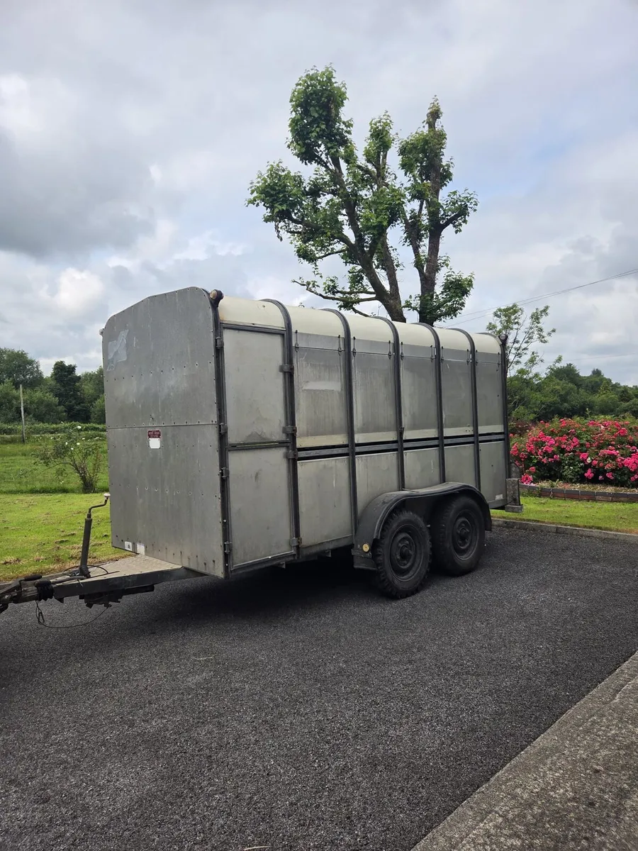 Ifor Williams Trailer - Image 1