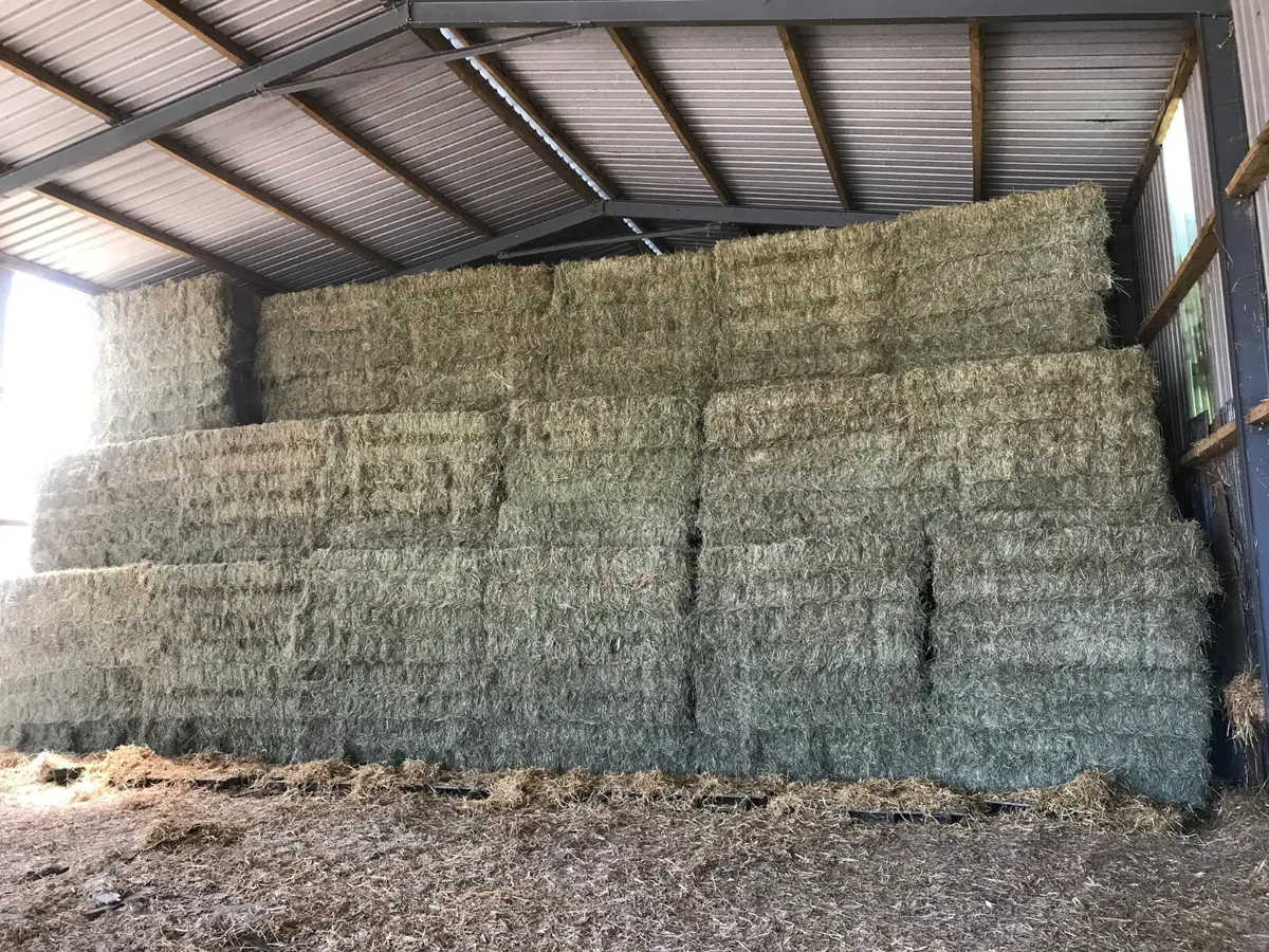 ***Quality Hay & Haylage!!*** - Image 4