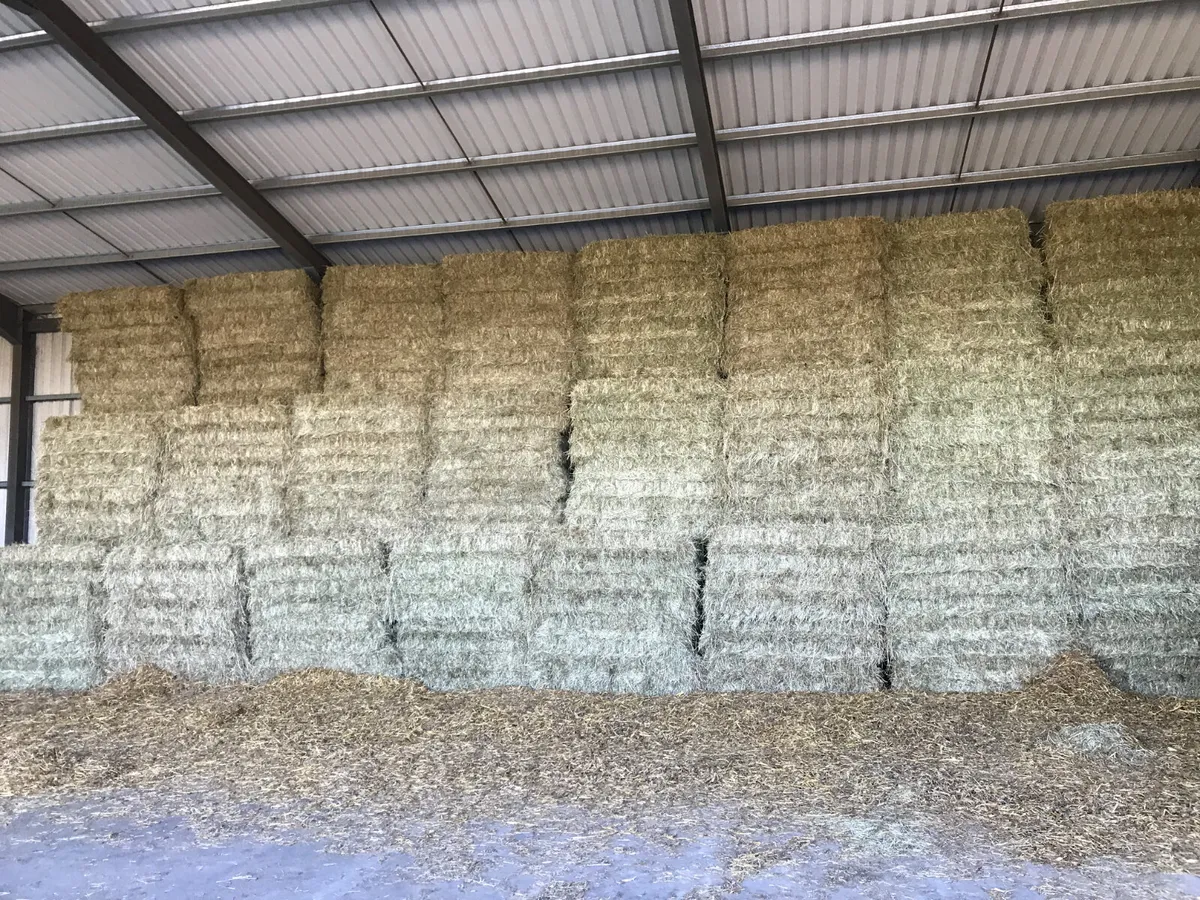 ***Quality Hay & Haylage!!*** - Image 3