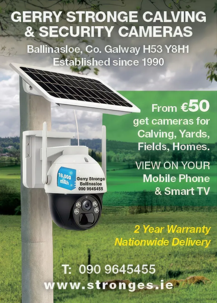 Calving Cameras - Image 1