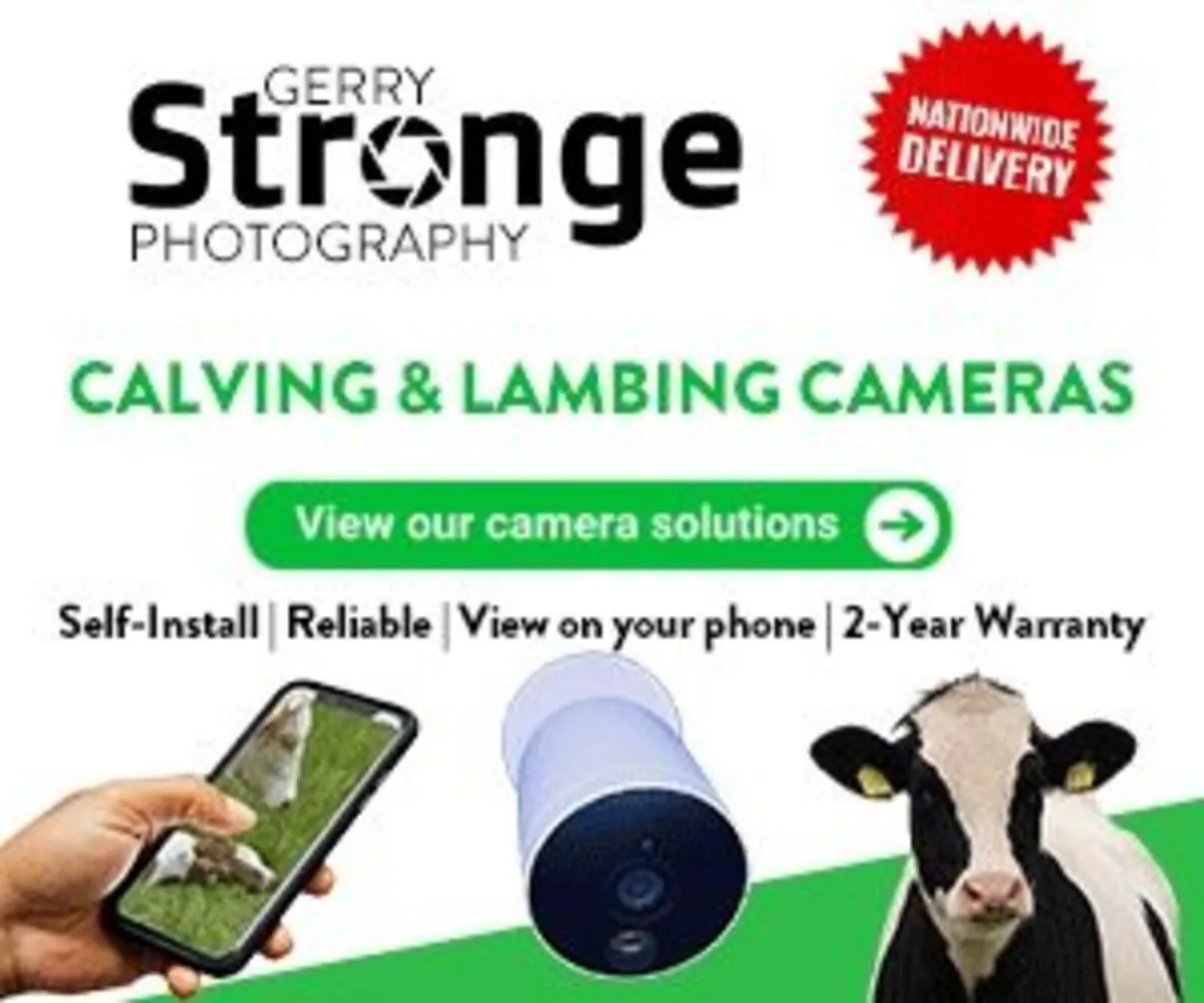 Calving Cameras - Image 3