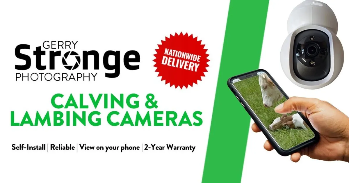 Calving Cameras - Image 4