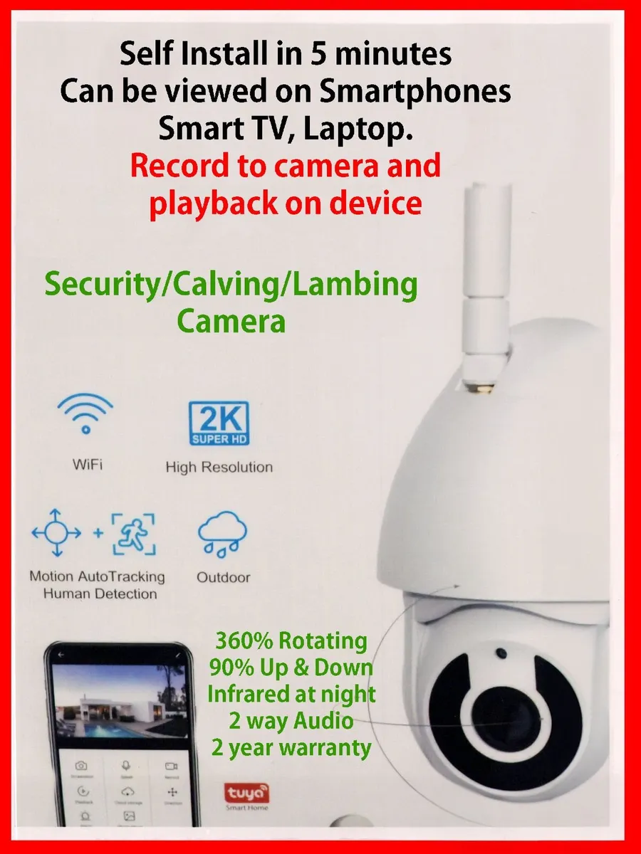 Calving Cameras - Image 2