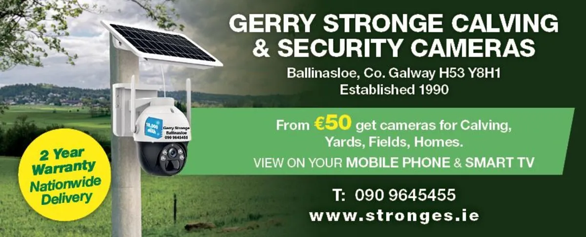 Calving Cameras - Image 3