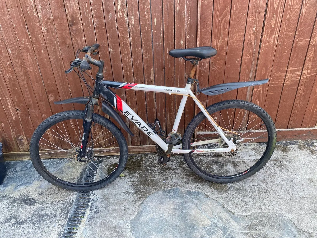 Mens evade mountain bike