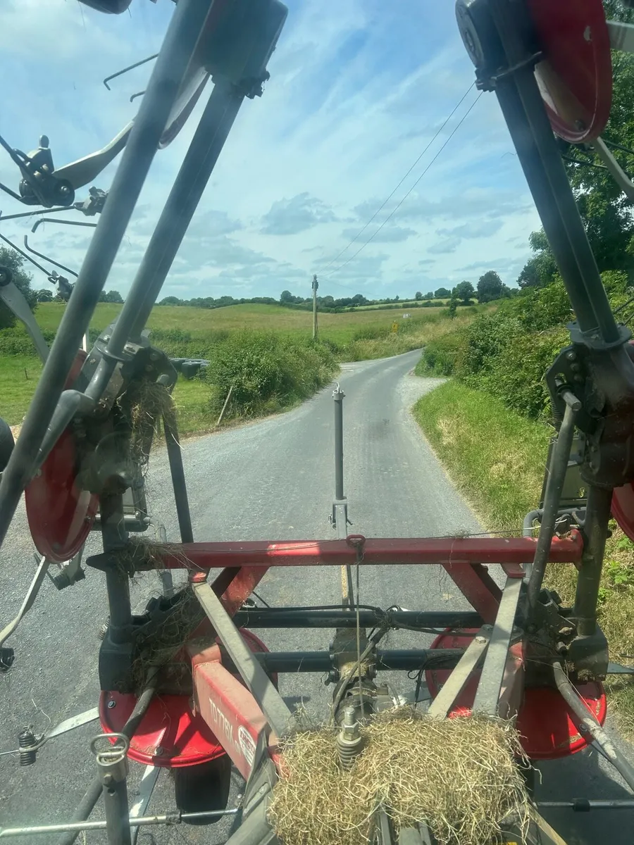 Hay