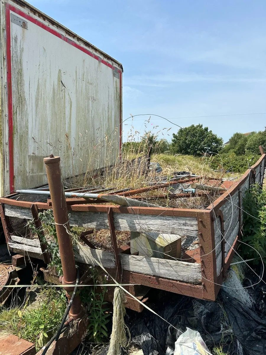 Yard clearance - Image 3