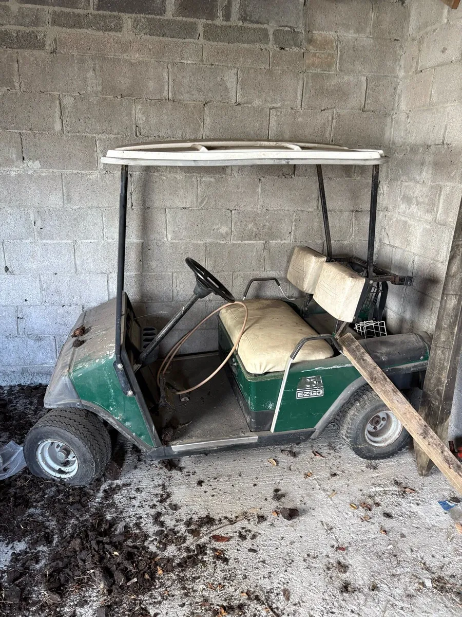 Golf buggy - Image 1