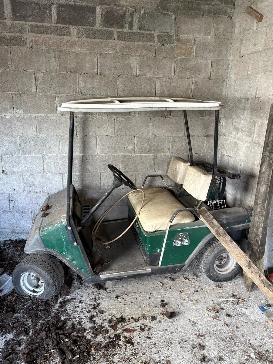 Golf buggy - Image 2