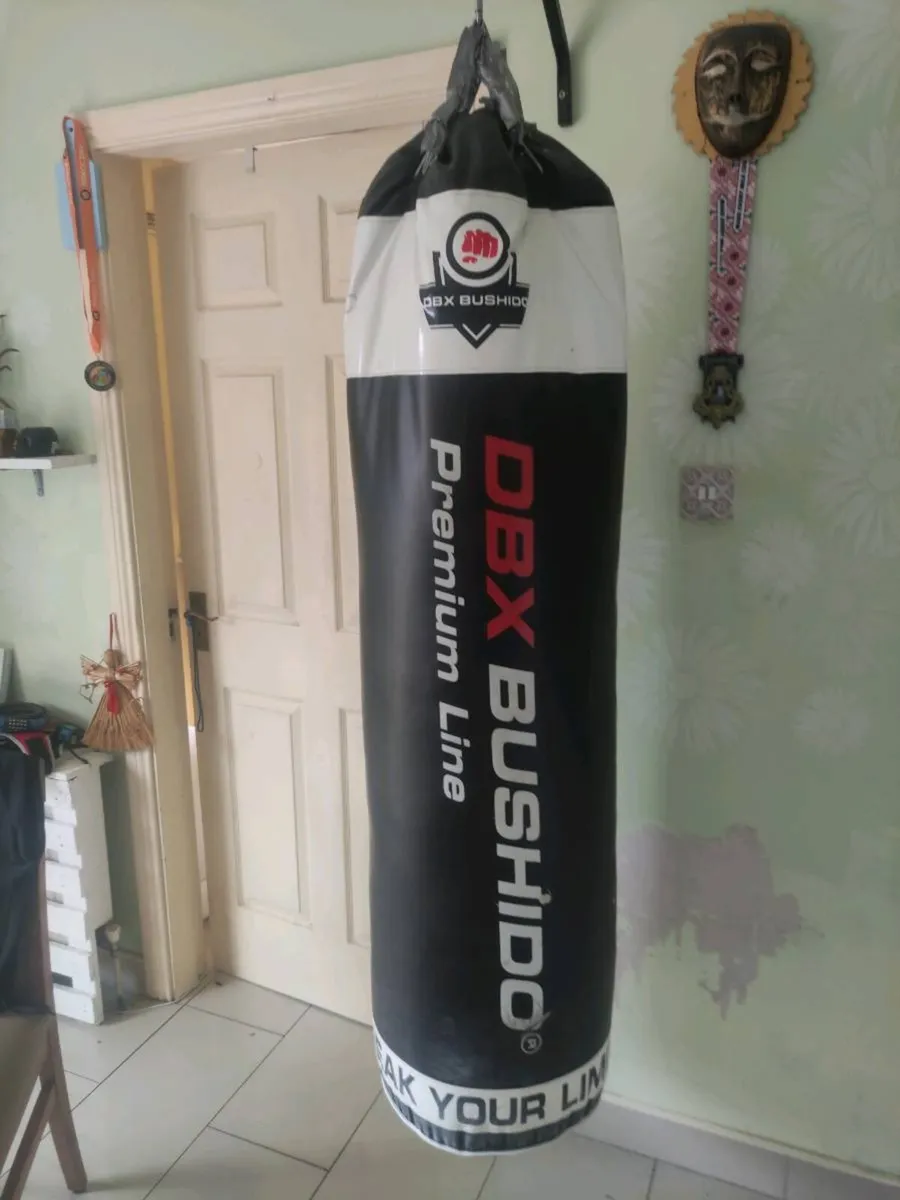 Heavy duty Punching bag with wall mount - Image 1