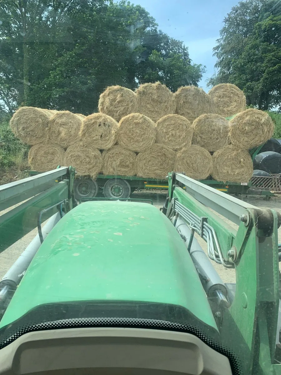 hay