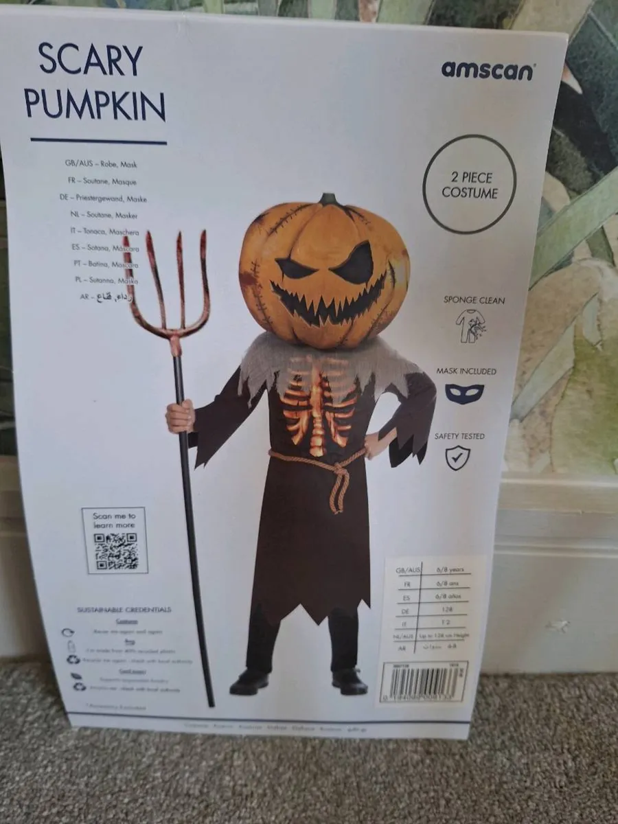 Scary Pumpkin Costume/Fancy Dress - Image 1