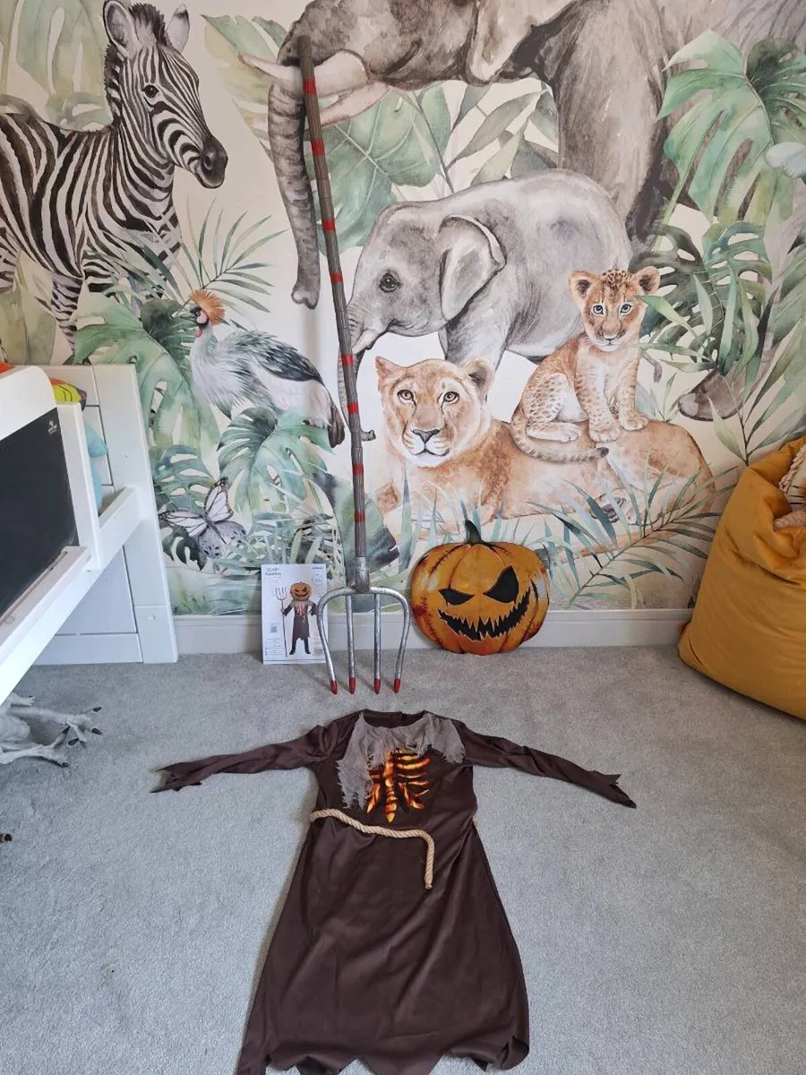 Scary Pumpkin Costume/Fancy Dress - Image 2