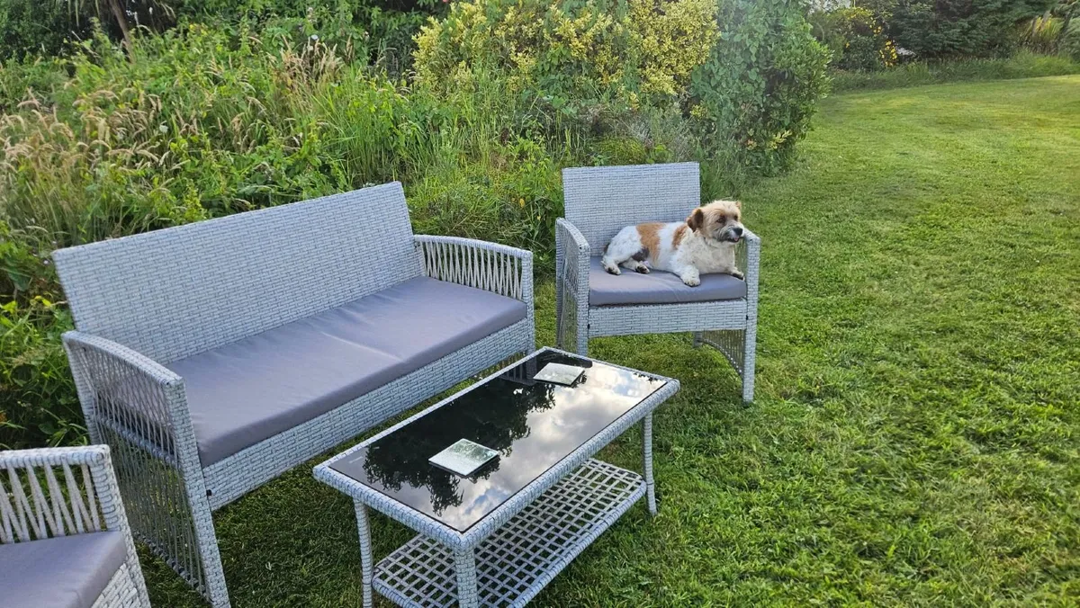 Garden  chairs clearance - Image 4