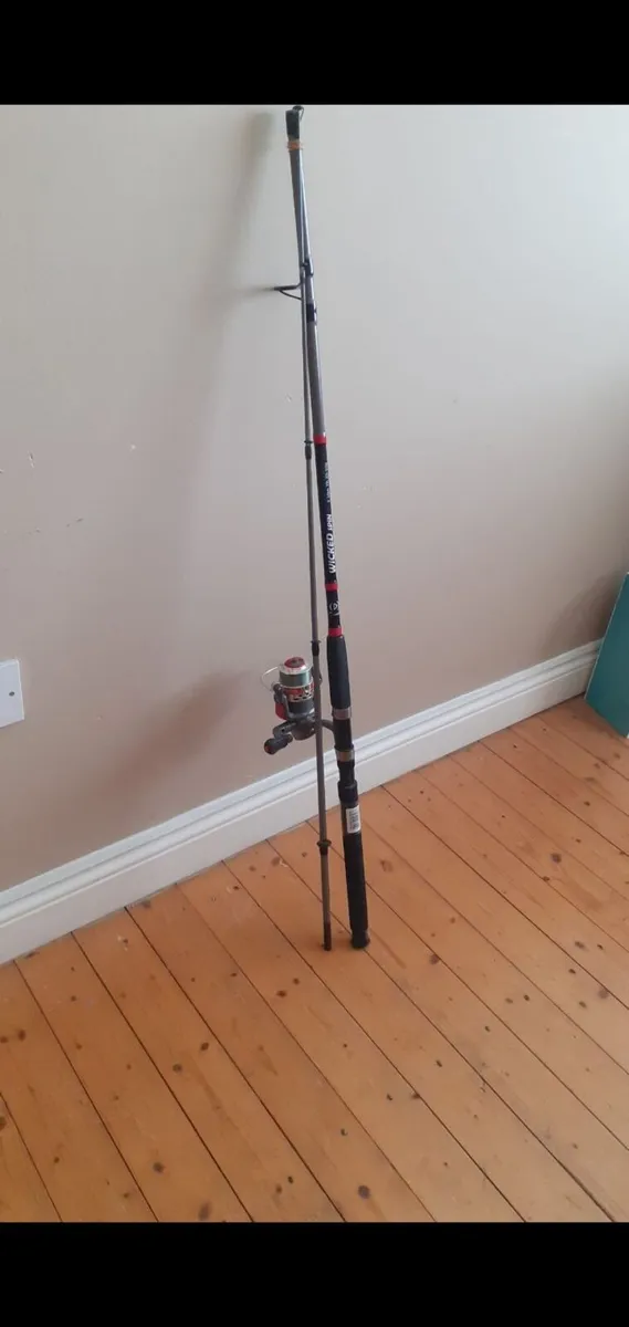 Fishing rod - Image 1