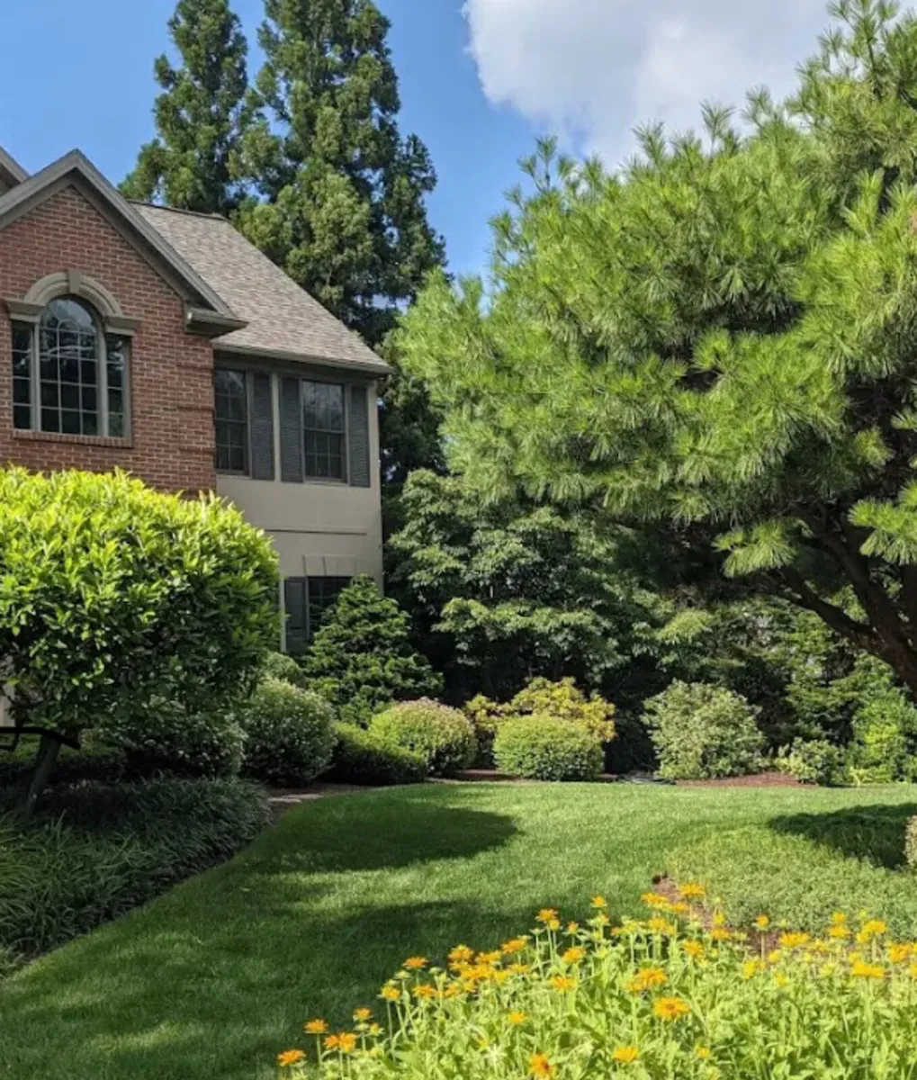Hiring landscapers assistant