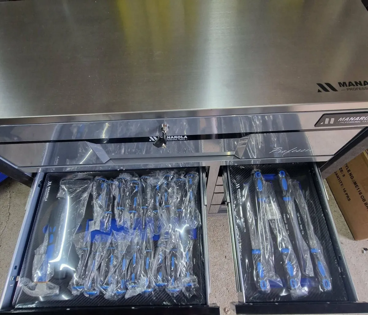 MANAROLA PROFESSIONAL 12-DRAWER TOOL CABINET - Image 3